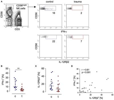 An Inverse Relationship Between c-Kit/CD117 and mTOR Confers NK Cell Dysregulation Late After Severe Injury